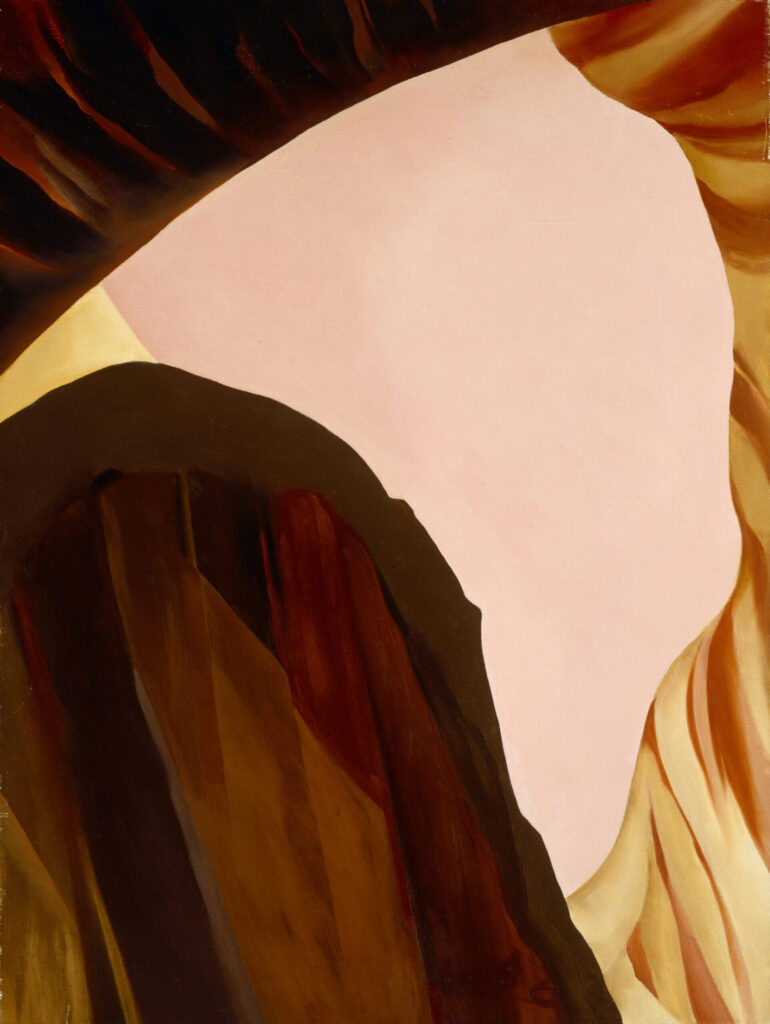 The viewer appears to be looking at the canyon from an unusual angle, perhaps from below. The image could also be the reflection of the cliffs on the surface of the river. Cliffs rise from all sides, and a triangular patch of light sky fills the center of the image.