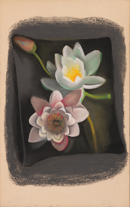 Two large open water lilies and one small closed lily, one pink and one white with a yellow interior, on a dark blackground that doesn't reach the edge of the paper.