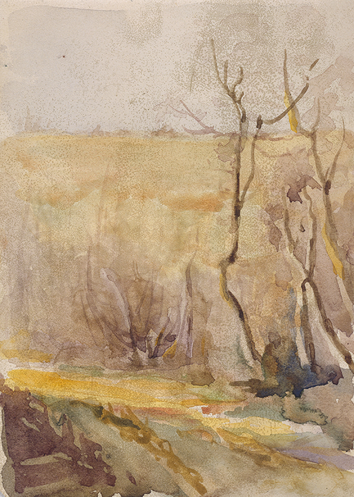High horizon line with trees and a lane in the foreground in beige and brown colors