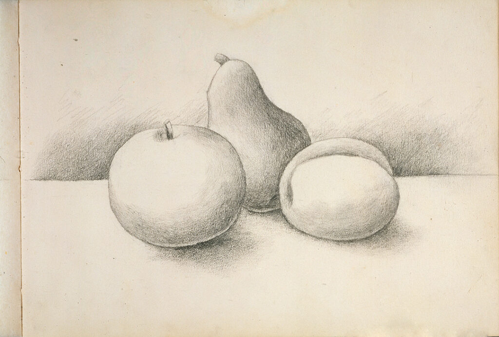 Sketch of three pieces of fruit in the center of the paper, sitting on a horizon line with light shadows behind.