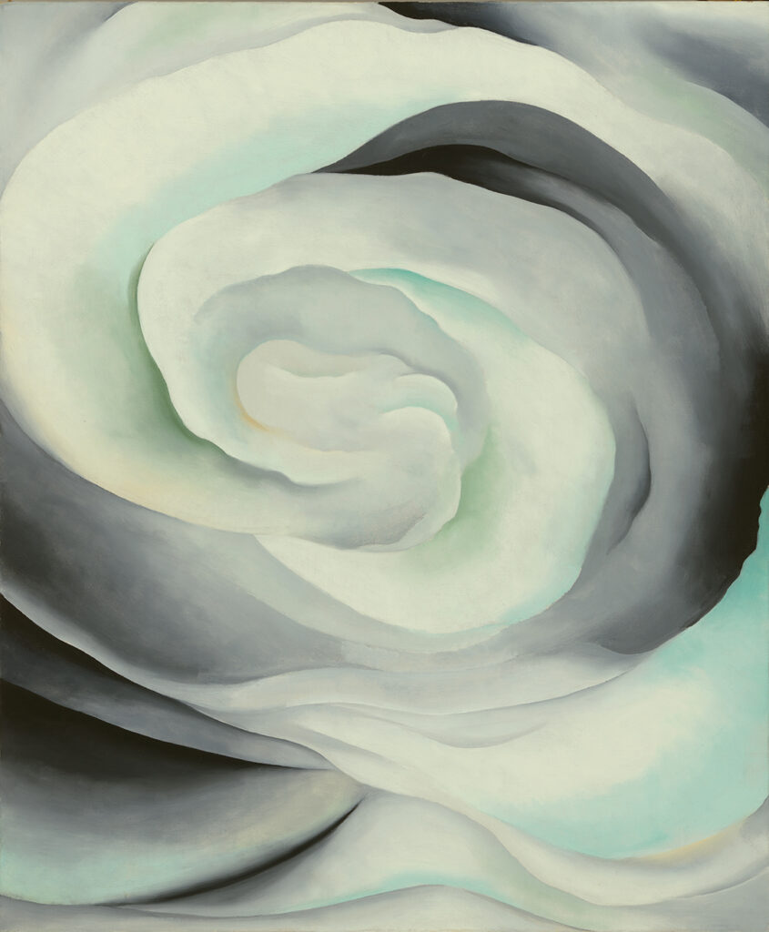 Spiraling grey-white tones flowing outward from the center, as if looking into a rose from an aerial view. Subject not readily identifiable as a rose as the "petals" are distinguished by tonal variations of dark black/grey blending into light grey/white.