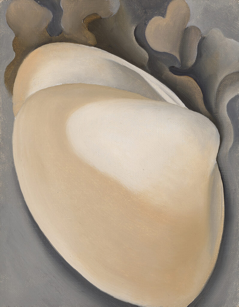 Much of this small painting is occupied by a large tan clam shell. The shell seems to be partially open, and it offers a glimpse inside along its upper edge. The shell's hinge lies near the right side of the work. Branches of seaweed swirl behind the shell along the upper edge of the painting.