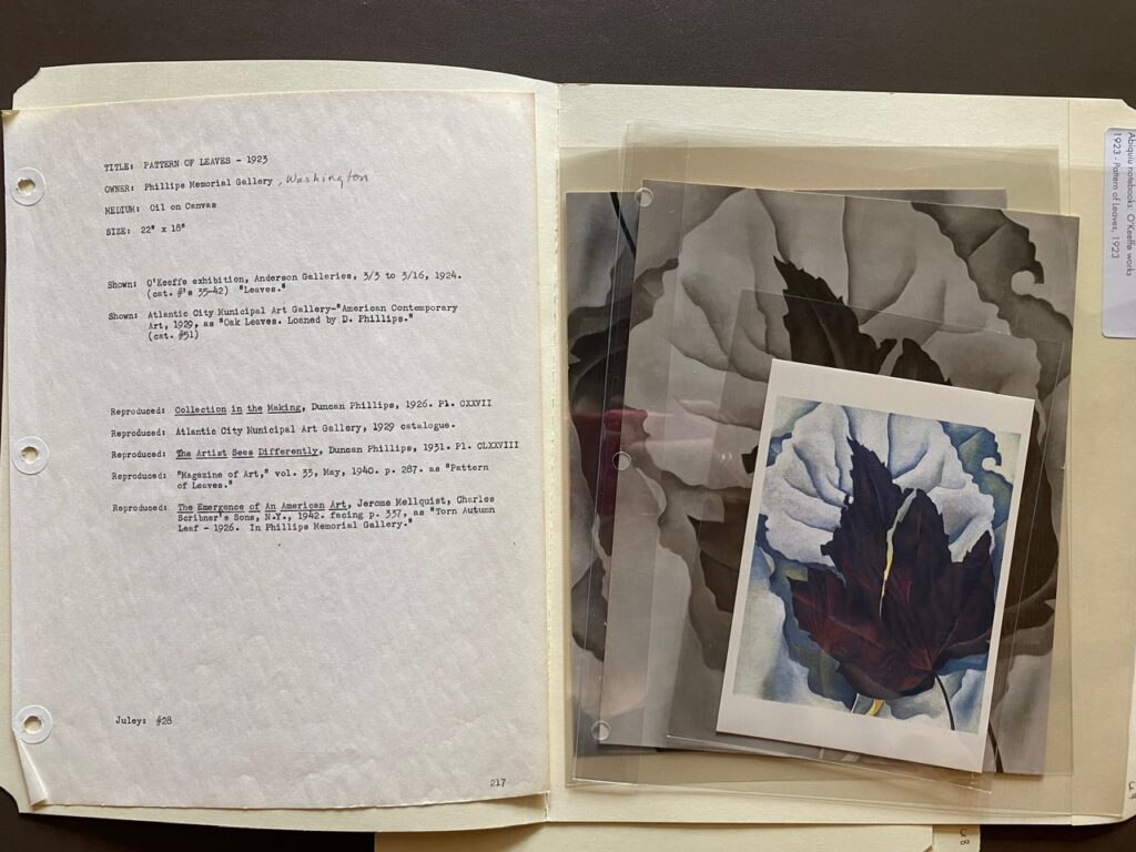 An open folder with typed details on the exhibition history of O’Keeffe’s painting ‘Pink and Blue Lines,’1923 on the left and black and white photographs of the painting in plastic folders on the right.