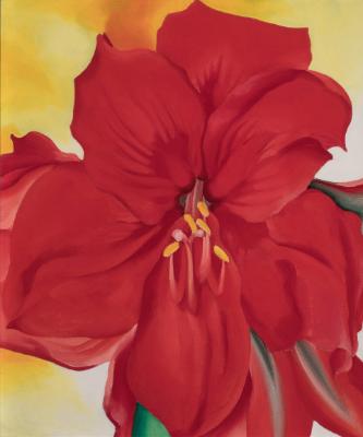 close-up view of a single blossom on a stalk, vibrant in its blood-red color tints, against an undefined yellow and white background that suggests brilliant sunlight.