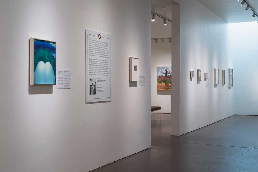 A long gallery with white walls and several paintings by O'Keeffe along with placards containing information on each piece on display.