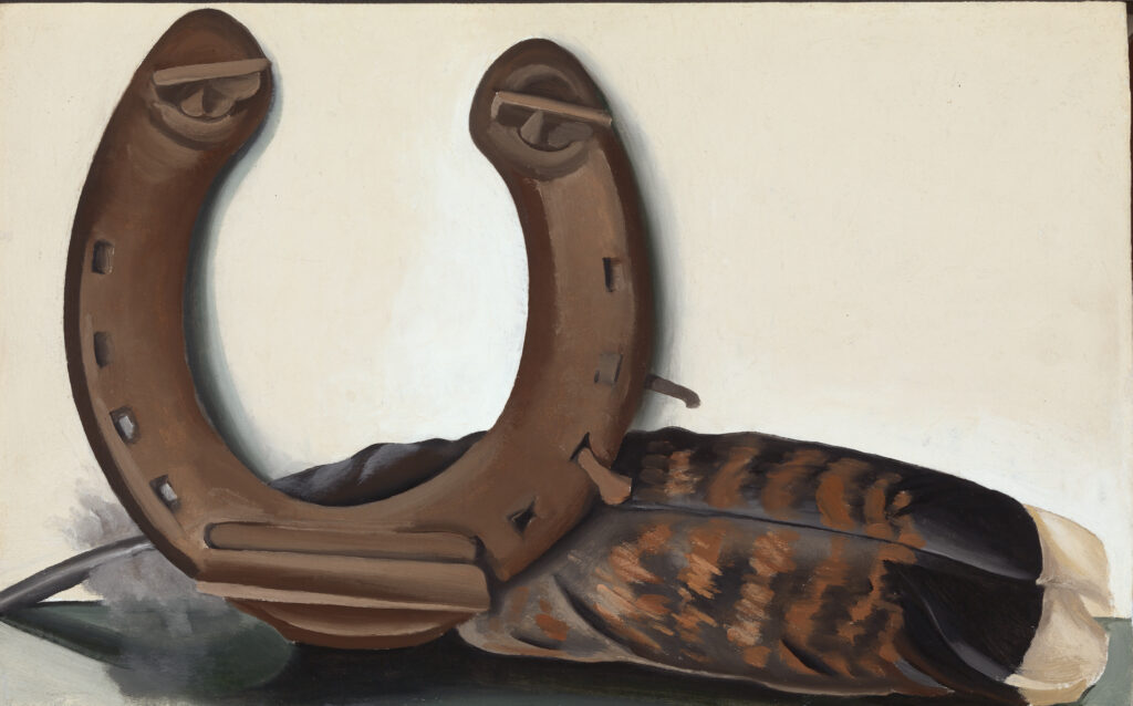A horseshoe stands upright on the left side of the work with its open end facing upward. A feather lies behind the horseshoe and along the surface upon which both objects rest. The surface reflects a bit of the feather on the left end.