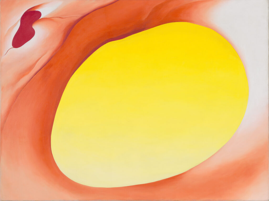 Large horizontal canvas of magnified pelvic bone in reddish orange. Emphasis is on the oval hole in the pelvis, the empty space of which fills the majority of the canvas in yellow.