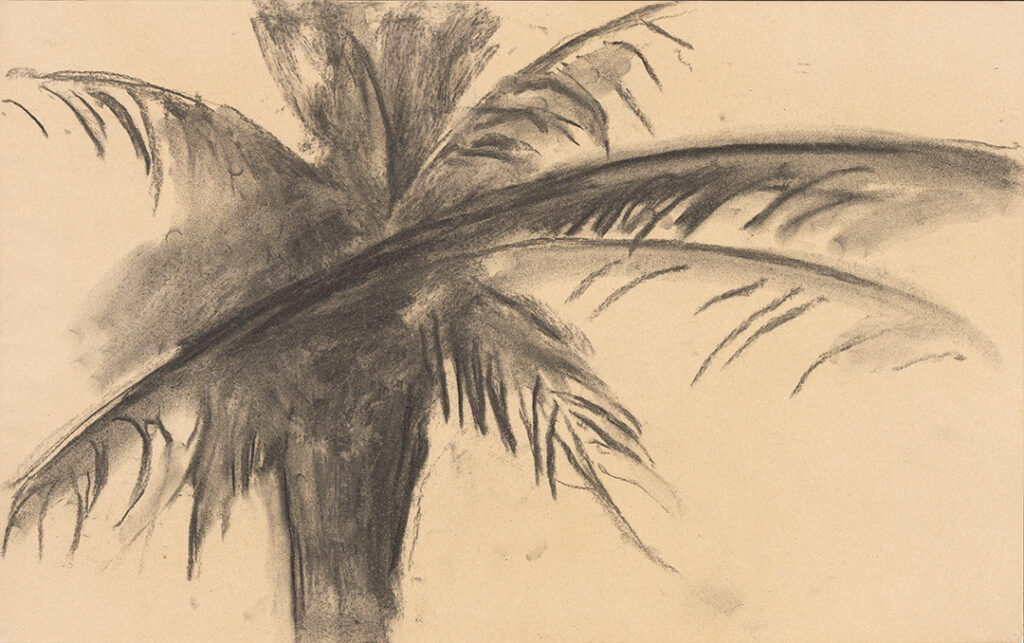 The upper portion of a palm tree is visible on the left side of the paper. Several palm fronds, rendered by softly smeared applications of charcoal, extend from the tree and fill the paper. One particularly long charcoal mark sweeps across much of the canvas at a slight diagonal and helps to form the palm fronds.