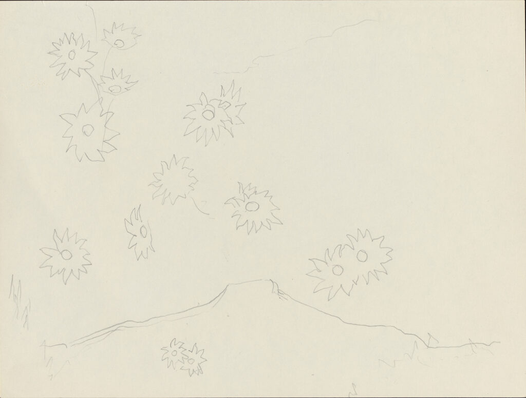 Graphite sketch of flowers and Pedernal on medium thick, cream, slightly textured wove paper