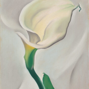 Small vertical pastel of white oval shaped calla lily flower with a green stem and single leaf featured in the center over a greyish-white background. The direction of the flower spirals away from the picture plain, hence suggesting a turning away from the viewer.