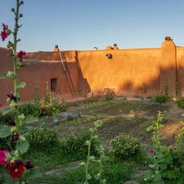 Photograph of an adobe house with a small chimney and a ladder leaning against it bathed in sunlight. In the foreground is a lush green garden with a tree on the right and some red flowers on the left.