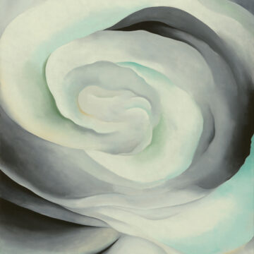 Spiraling grey-white tones flowing outward from the center, as if looking into a rose from an aerial view. Subject not readily identifiable as a rose as the "petals" are distinguished by tonal variations of dark black/grey blending into light grey/white.