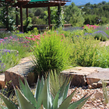 Photograph of an exterior gazebo at the Santa Fe Botanical Garden with green trees, flowers, cacti, and shrubs. In the background are green mountains and a blue sky filled with white clouds. At the bottom of the photograph in some stones are green grasses and a yuca plant.