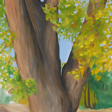 A large cottonwood tree fills much of the canvas. Its thick trunk splits into three parts as it rises upward. Yellow and green leaves seem to flutter around the tree. Other trees can be seen in the distance in the lower right corner.