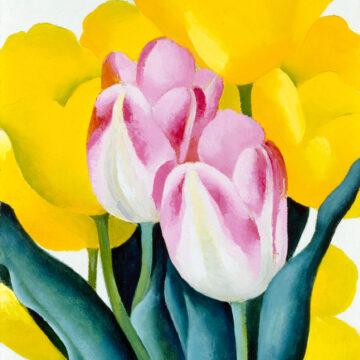 Two white-streaked pink tulips with green leaves occupy the center of the composition. Several yellow tulips stand behind these pink flowers. Light green stems support the blooms. The background of the work is painted solid white.