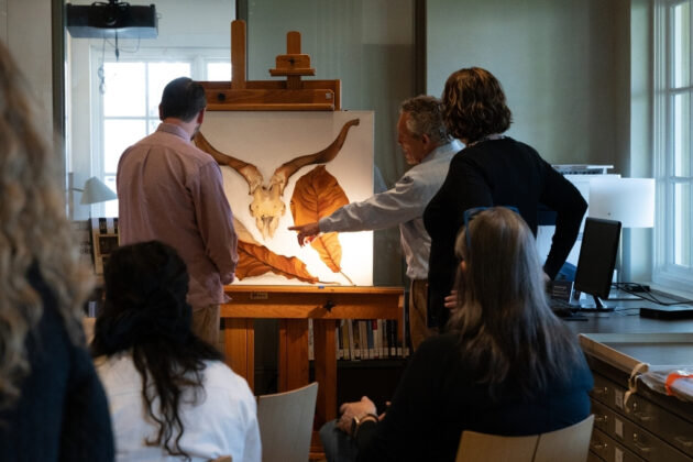 Photograph of a painting of a Ram's skull framed by large brown leaves against a white background. The paintings sits on an easel with a group of people looking at and pointing at its details.
