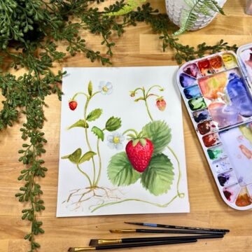 A painting of colorful strawberry plants. Nearby is palette of watercolors, small paintbrushes, and some green plants.