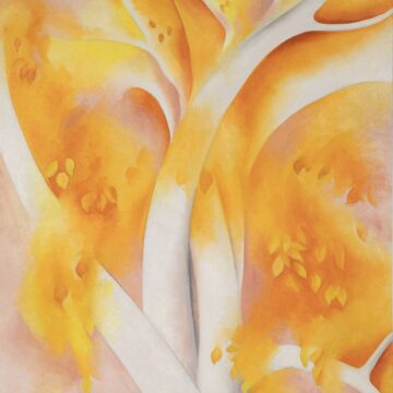 Twisting white birch branches stretch over the composition. Soft, cloudlike yellow forms denote clusters of leaves. The background is rendered in shades of pale pink and white.