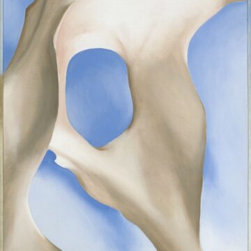 An animal's pelvis bone, seen from the side, spans the length of the composition. Behind the bone is a softly shaded blue background.