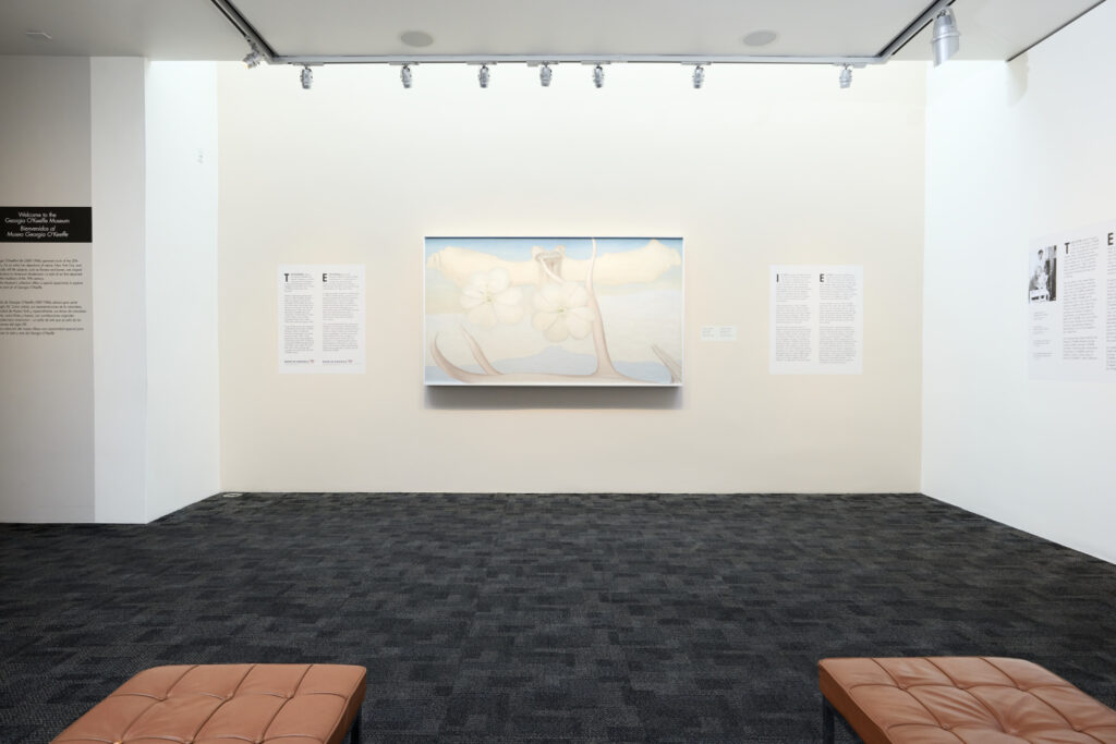 View of a gallery installation showing a painting in light pastel blues and tans against a white wall. There are two text panels on the sides. The room has a dark gray floor and two edges of leather benches are extending off the image at the bottom.