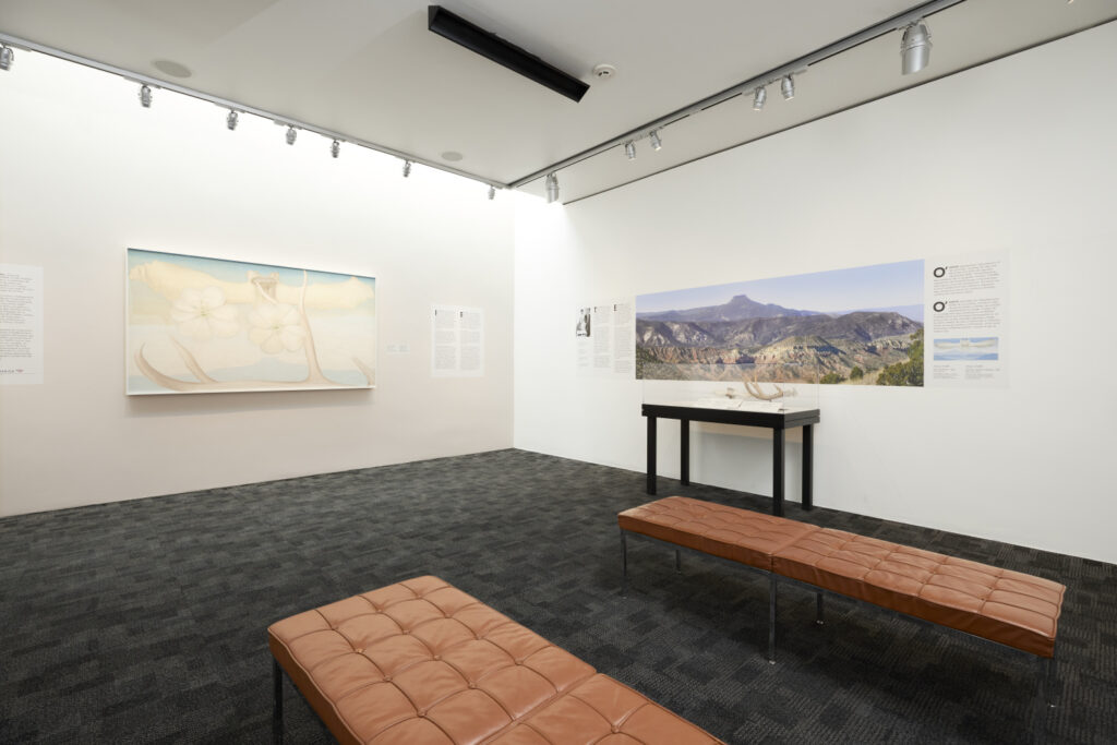 View of a corner of a gallery installation showing a painting in light pastel blues and tans against a white wall and a photo mural of a mountain one the other with a display case.. There are two text panels flanking the sides of the painting. The room has a dark gray floor and two brown leather benches are in view.