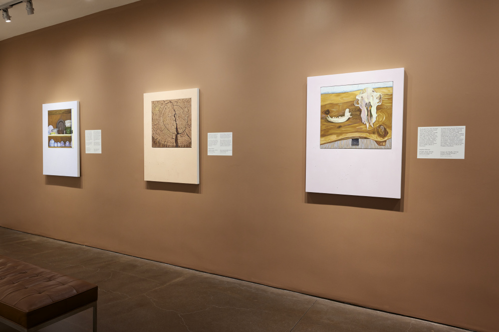 A gallery view with 3 paintings on a dark tan wall with accompanying white labels.