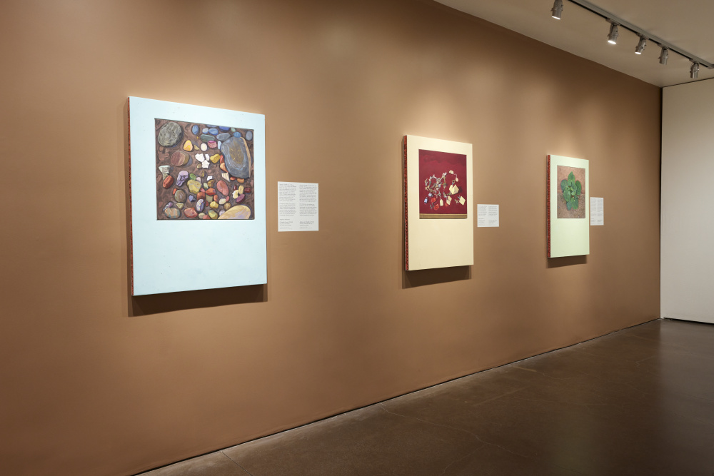 A gallery view with 3 paintings on a dark tan wall with accompanying white labels.