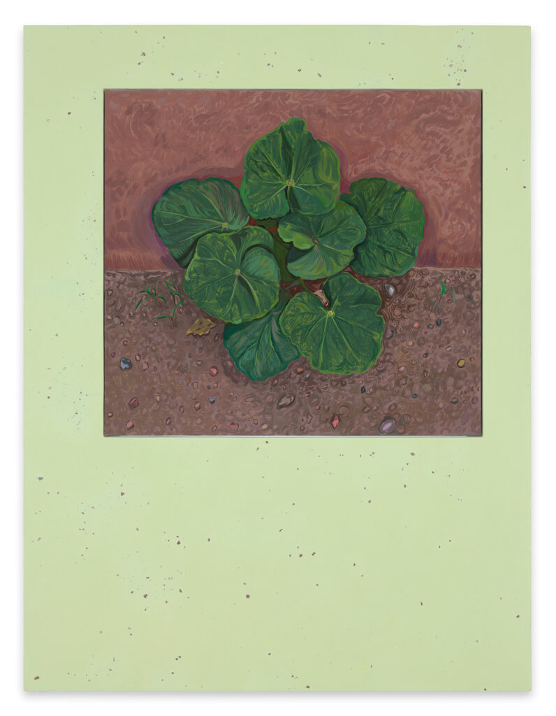 A green surround frames a painting in the upper two thirds of a short green plant with large leaves emerging from a crack between a brown stucco wall and a bare ground. 