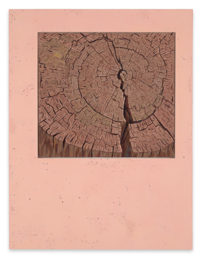 An vertical image with a peach colored surround. In the upper two-thirds is the painting a of an aged stump from the top showing one large crack that extends the length of the stump and other small cracks radiating from the center crossing growth rings.