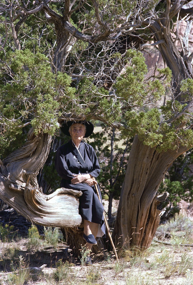A woman sits on a large twisted branch of a juniper tree. She wears a black dress, slippers and a broad brimmed hat. She has a frown and wrinkled skin with gray hair.