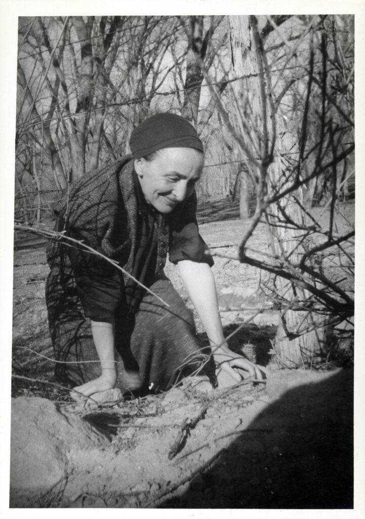 A black and white photograph of Georgia O'Keeffe. She is wearing a head covering and a dropped fabric leaning over the earth. She smiles as she works in the garden.