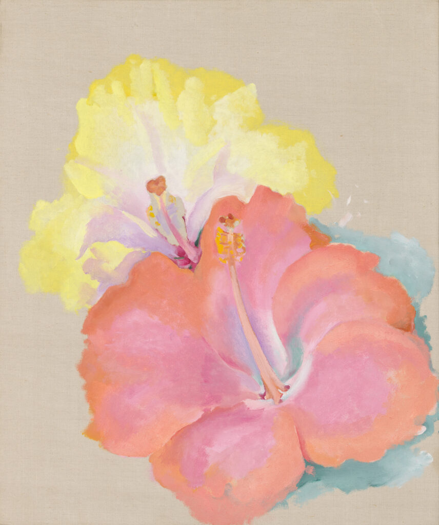 Unfinished Artwork- one of several unfinished works by O'Keeffe that contain either preliminary drawings for unrealized oil paintings or unrealized oil paintings. A pink hibiscus sits at the foreground of the oil painting with a yellow hibiscus tucked behind.
