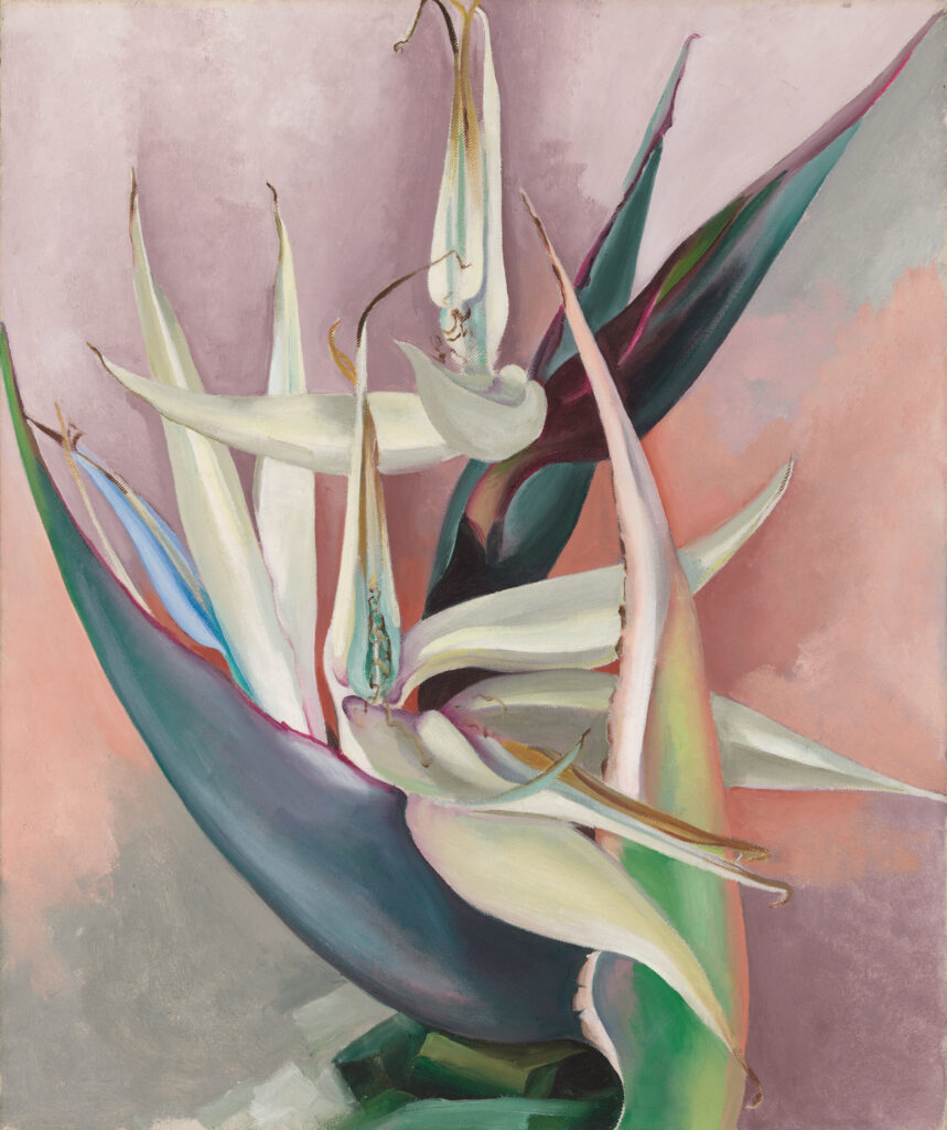Large white bird of paradise flower surrounded by a background of purple, purple-grey and reddish-gray color.