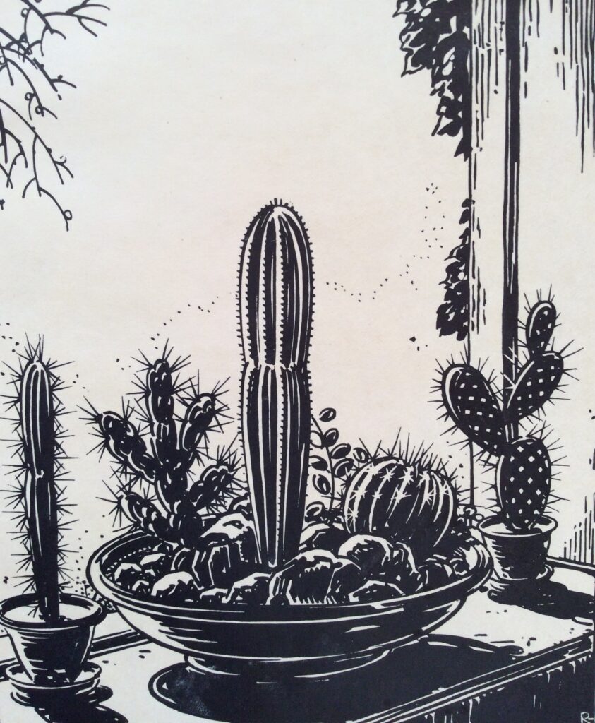 A wood cut of cactus in bowls on a window sill.