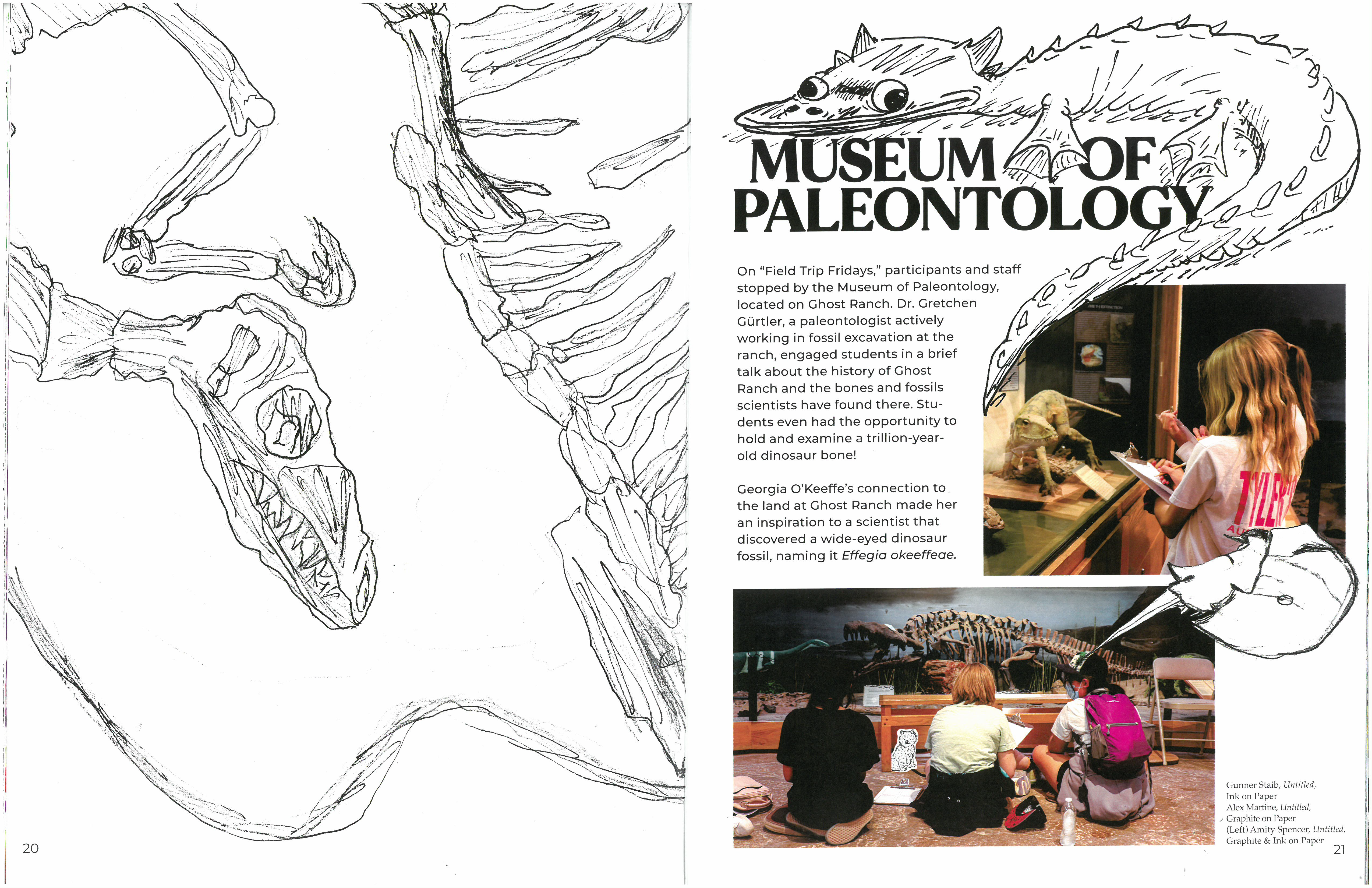 Illustrations by students as well as photos from their field trip to the Museum of Paleontology