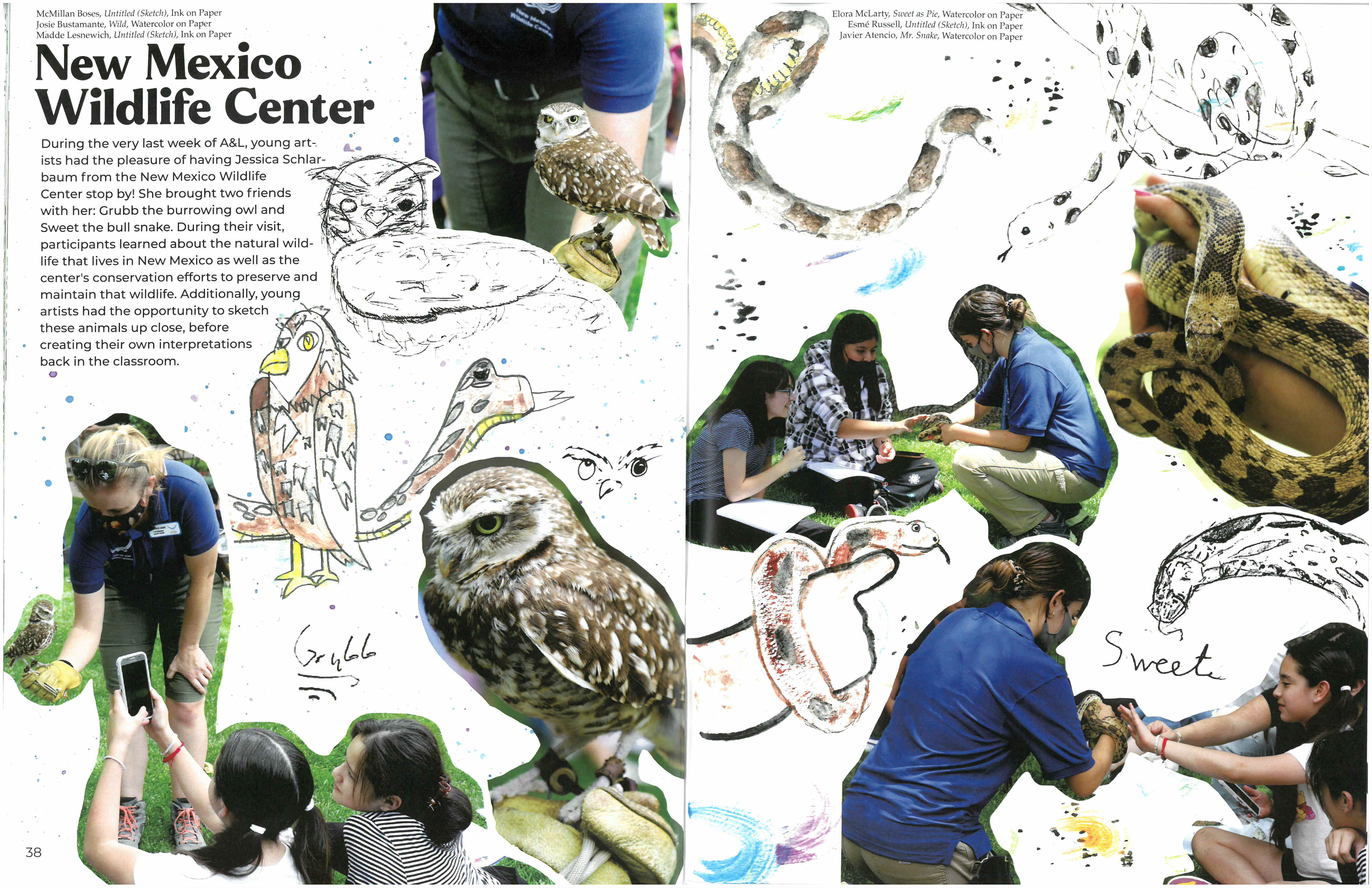 Photos of students and wild animals like snakes and owls from the NM Wildlife Center