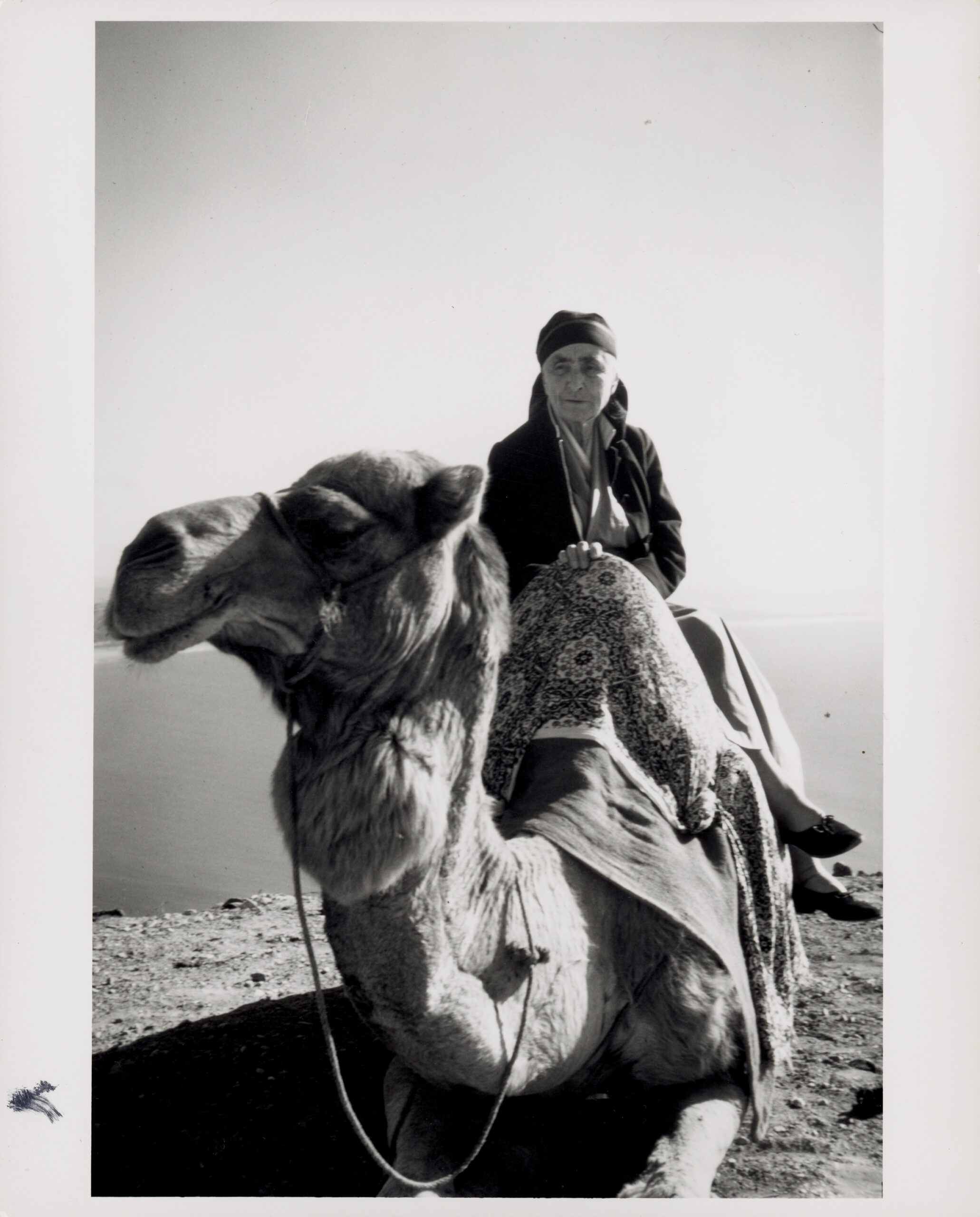 A black and white photograph of Georgia O'Keeffe seated on a camel. The camels face looks to the left in the foreground. Georgia O'Keeffe sits side saddle and is draped in fabrics with simple pumps on her feet.