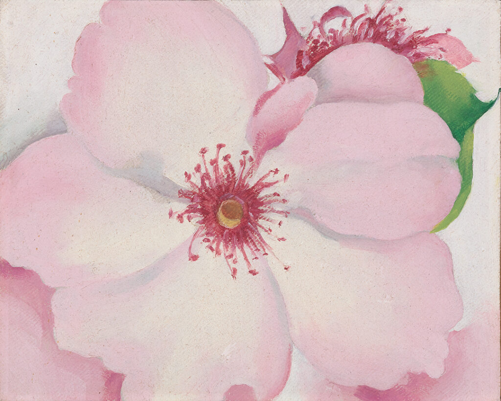 A pale pink flower with a deeper pink center fills much of this work. It is complimented by a single green leaf that peaks out from behind the petals on the right side of the flower. Bits of other flowers are visible behind the central flower, as well.
