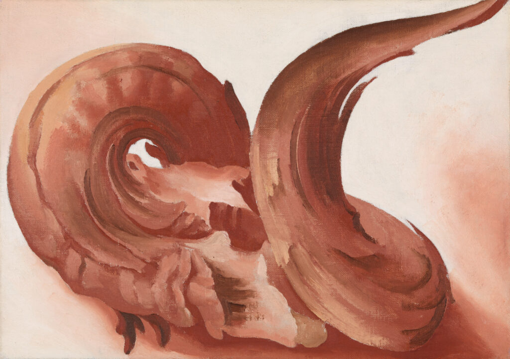 A pair of gnarled horns in shades or brown and rust fills the canvas. The horn on the left curves in a circular form, while the horn on the right side of the work curves toward the right.