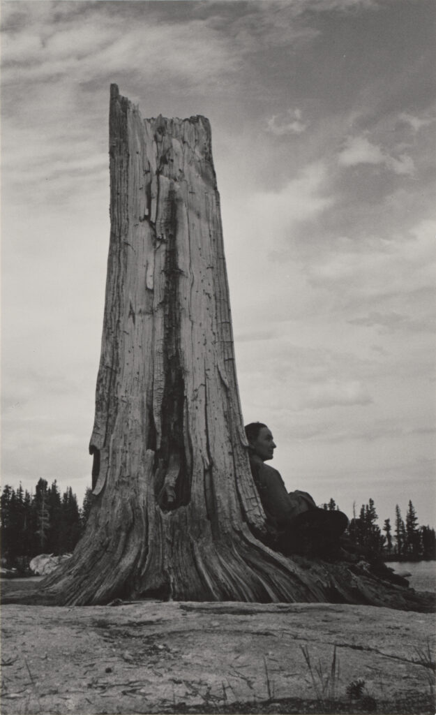 A black and white photograph of the profile of Georgia O'Keeffe sitting against a tall tree stump.