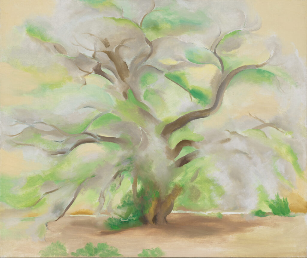 A large, softly painted cottonwood tree fills the canvas. Its thick trunk divides into several sinuous branches as the tree rises above the ground. The impression of leaves has been created by soft patches of white, gray, and green paint along the branches.