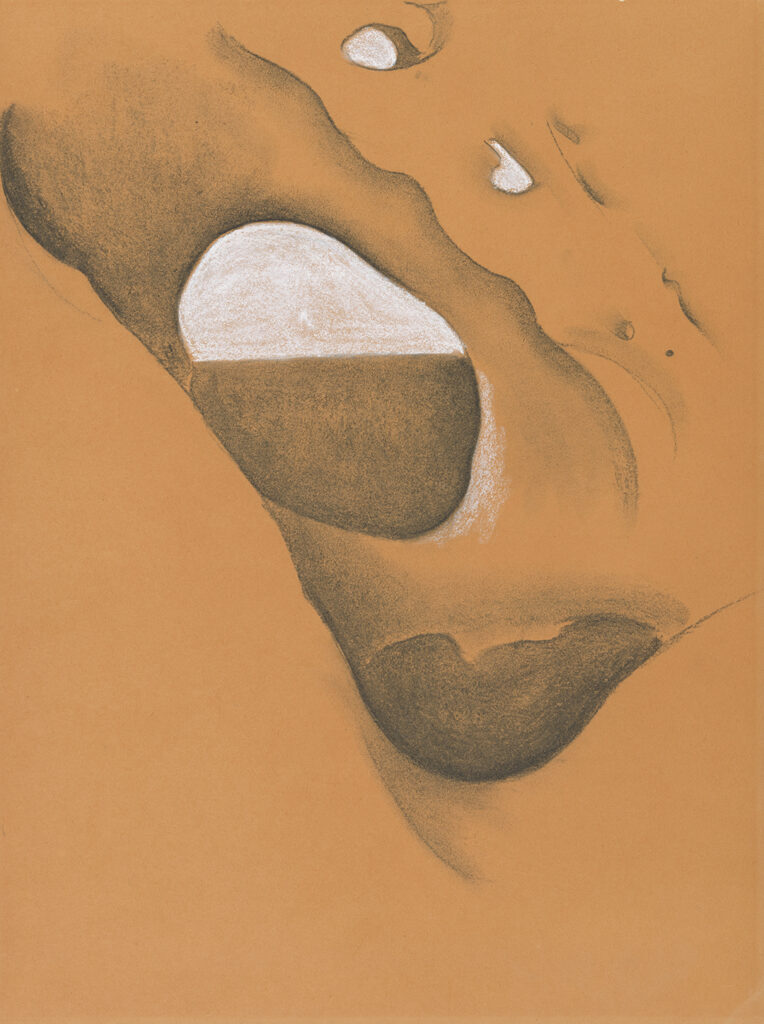 This work appears to be an abstraction using a piece of bone. The bone is pierced by several holes. Two large holes fill the center of the work. The upper opening is divided into two sections. The top section has been filled with white chalk, while the bottom section has been shaded with dark charcoal. The lower large hole has been completely shaded with dark charcoal.