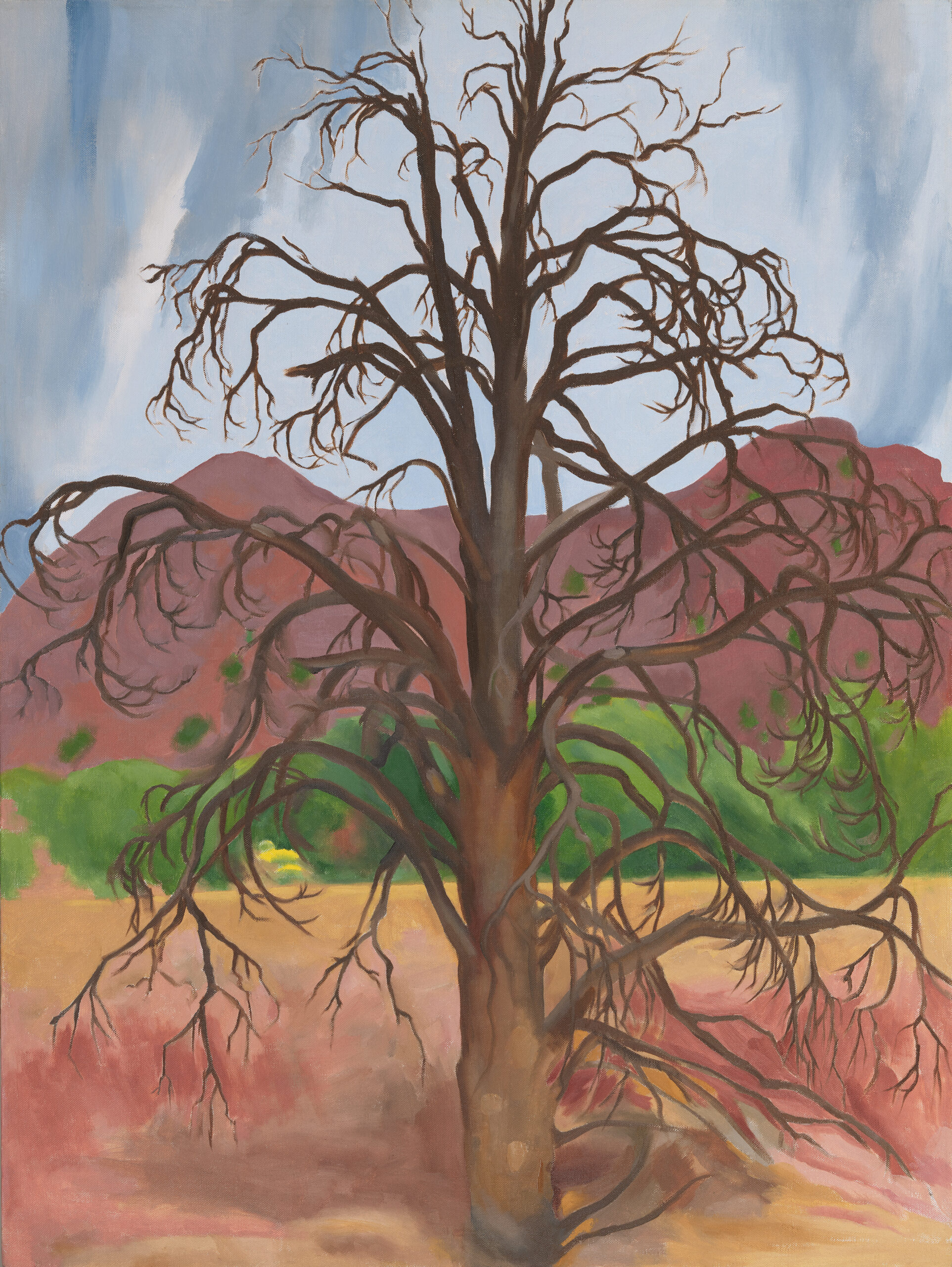 Rooted In Place - The Georgia O'Keeffe Museum