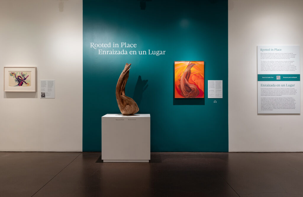 Photograph of a wooden stump on a white pedestal near a painting by O'Keeffe of the same stump on a red and gold background. Behind the stump and the painting are a dark teal wall and the title 'Rooted in Place/Enraizada en un Lugar'. To the left is another O'Keeffe painting of a trees and to the right is a panel with some text.