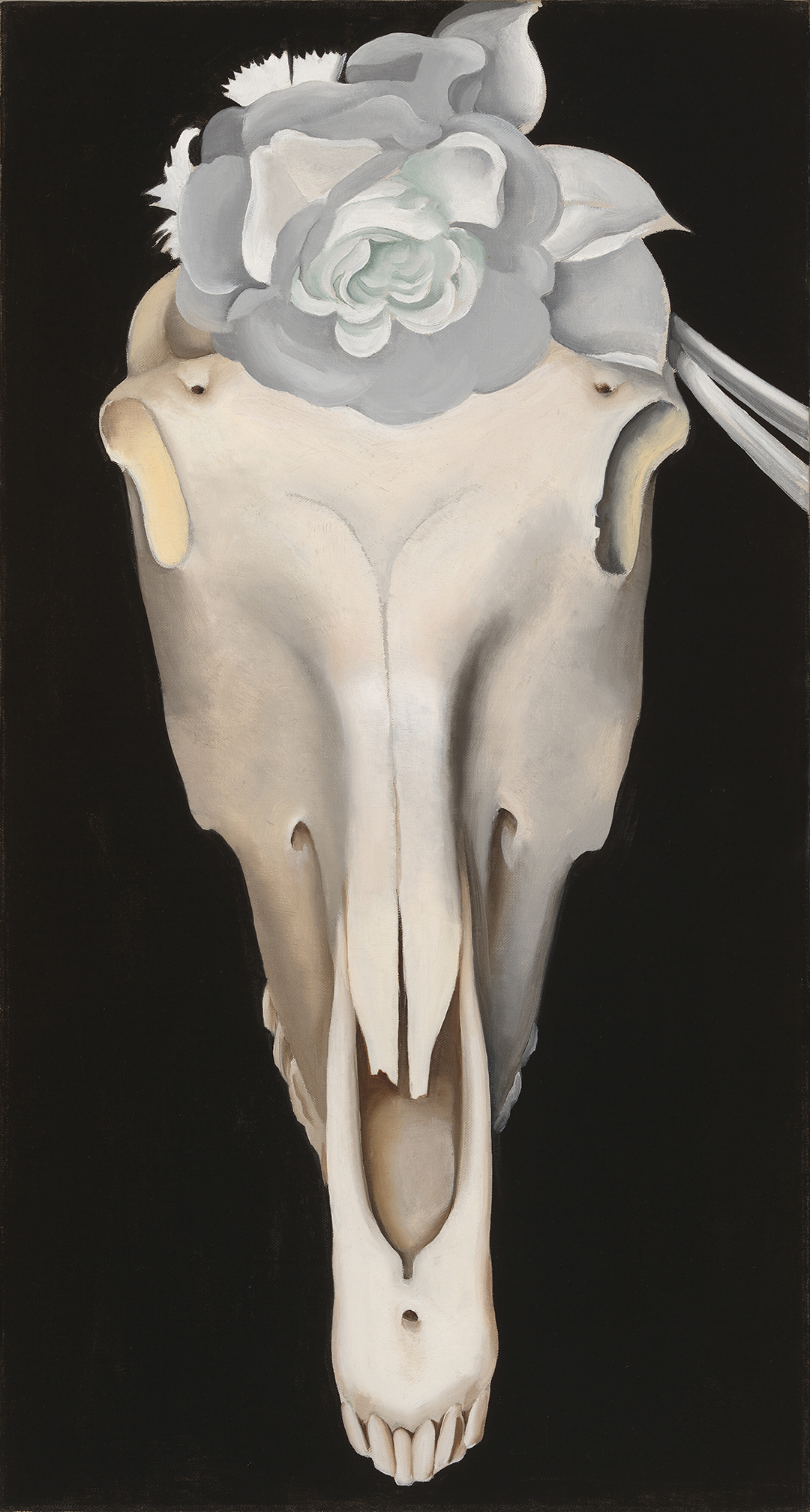 CR0777_CCCR.jpg