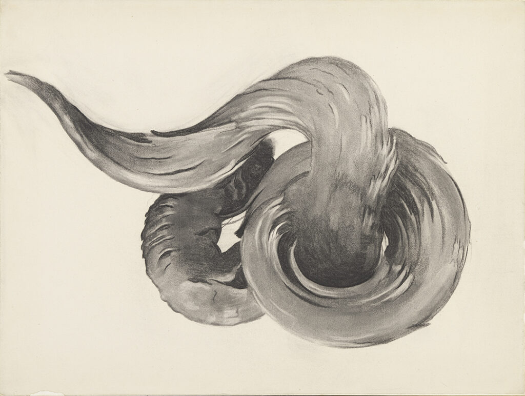 Intertwined ram's horns fill the paper. The central horn weaves through the circular horn on the right and then curves back towards the left.