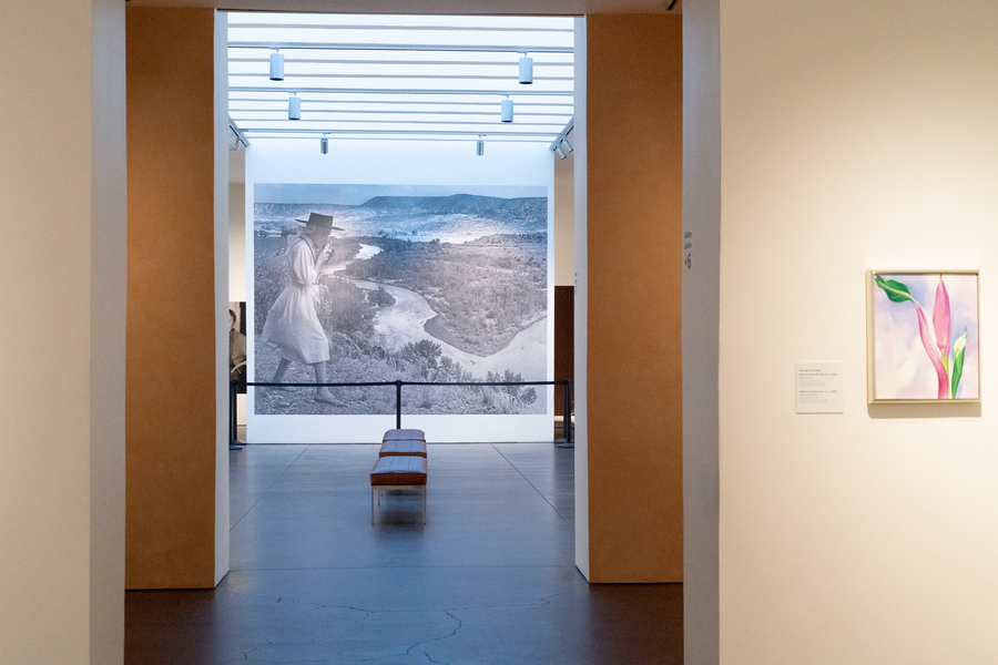 Interior of the Museum with a bench in the room farthest from the camera. In the farthest gallery is a large mural with a black and white photograph of O'Keeffe. On the nearest wall to the right is a small painting of a pink flower by O'Keeffe.