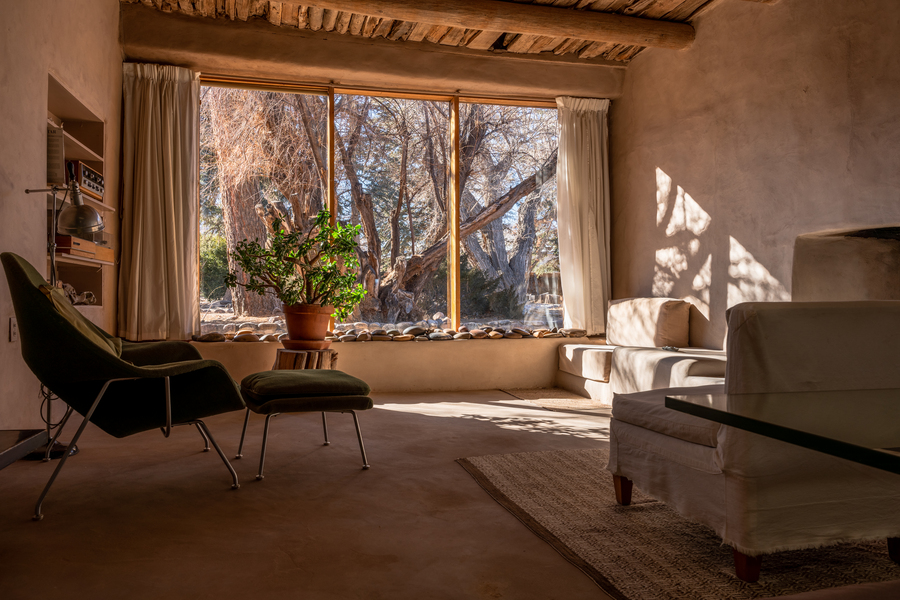 View of a living room designed in beige tones with a chaise lounge and low seat cushions. A large window at the end of the room shows a wide tree trunk and branches.