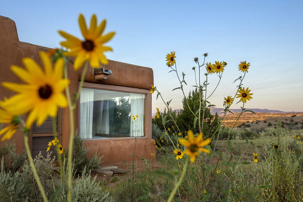 Photograph of the exterior of an adobe home with several windows. Behind the home is a mountain across the horizon and a clear blue sky. Several yellow sunflowers in the foreground.