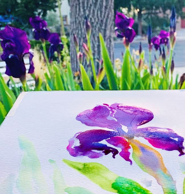 Open notebook of displaying a watercolor iris flower. Natural irises are in the background